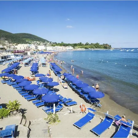 Sea 3*